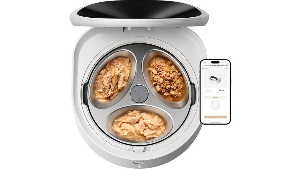 automatic stainless steel feeder