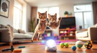 cat toys with motion sensors