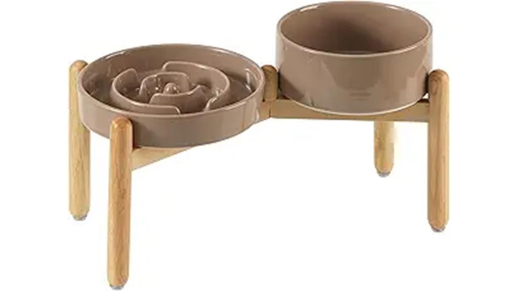 ceramic dog bowl set