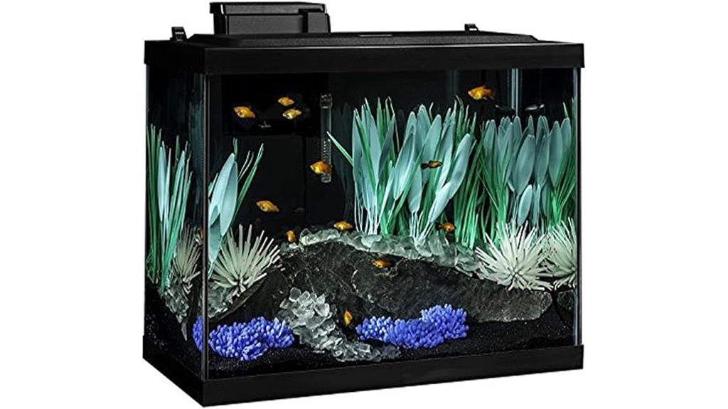 colorful tetra fish tank