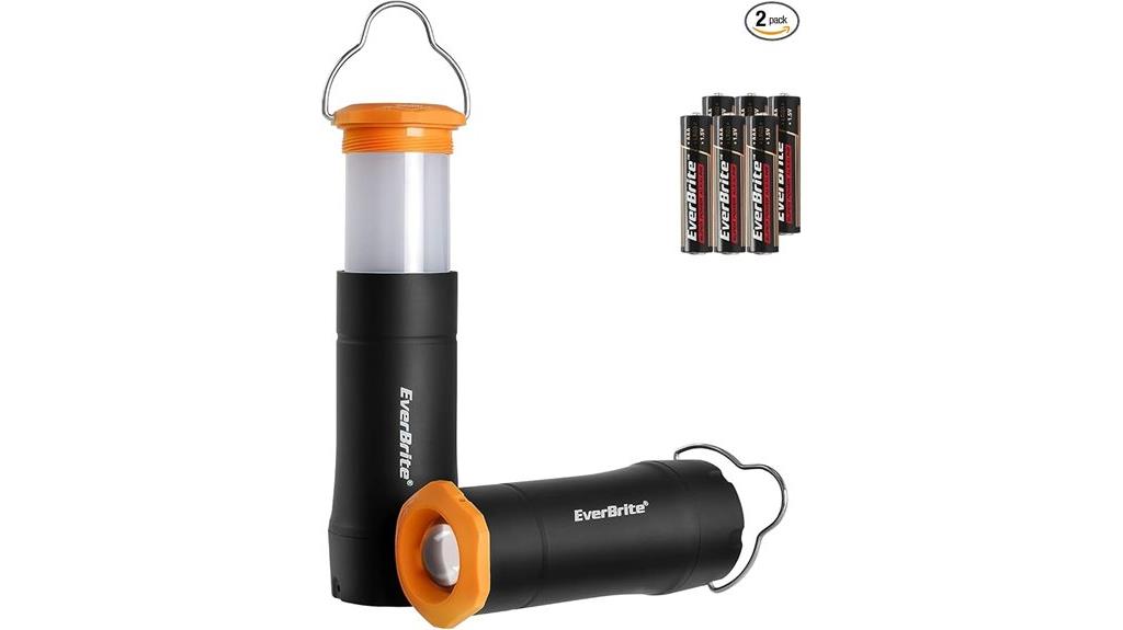 dual purpose portable lighting