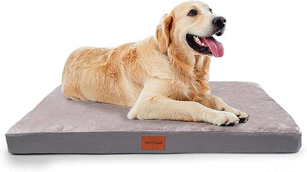 durable waterproof dog bed