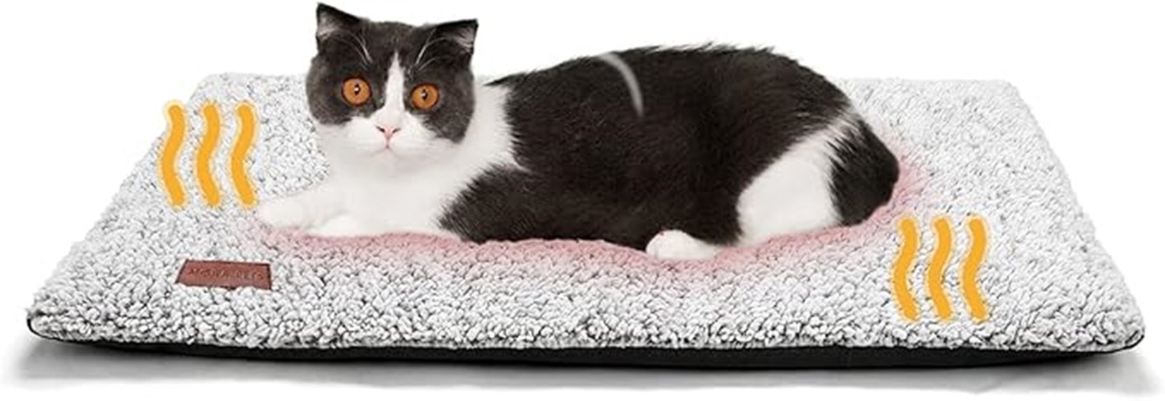 heated pet bed with removable cover
