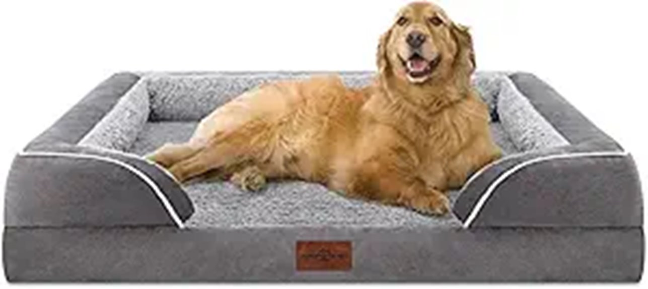 large dog orthopedic bed