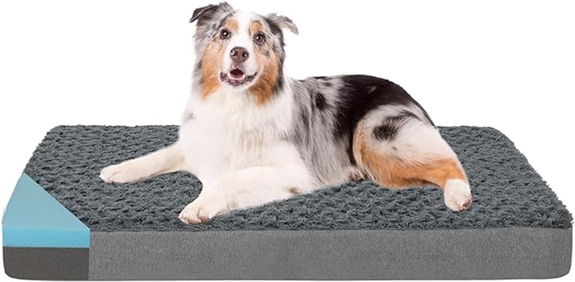 large orthopedic foam bed