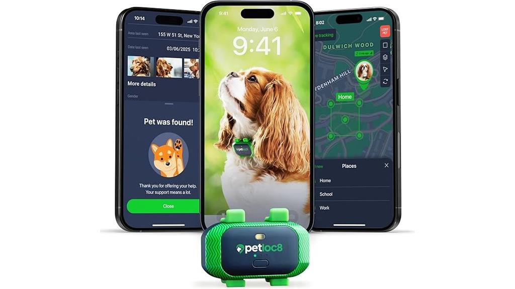 real time dog gps tracker