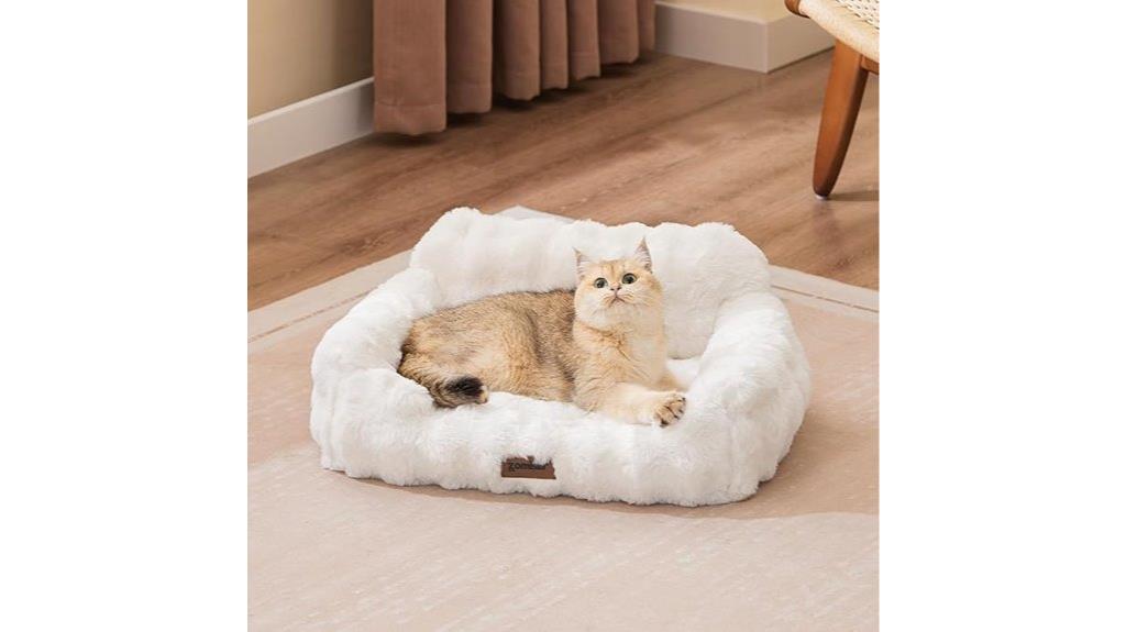 removable cover orthopedic cat bed