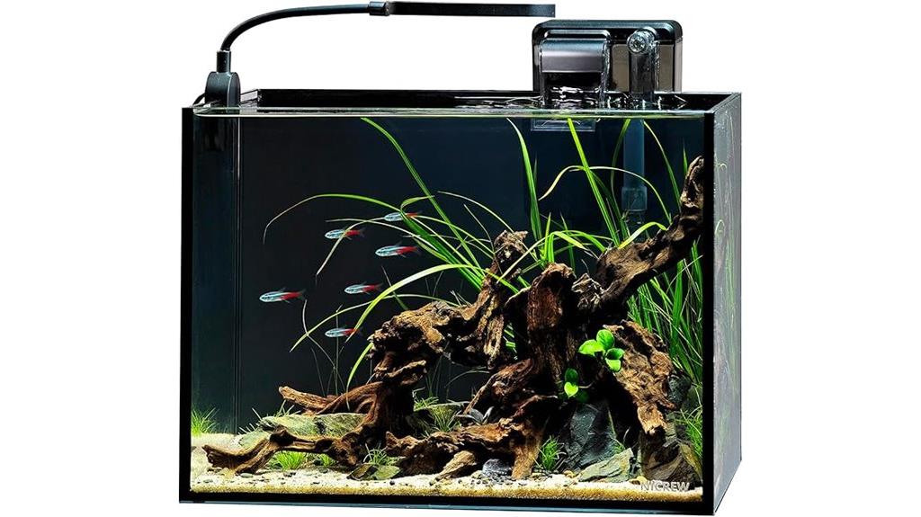 small aquarium with light