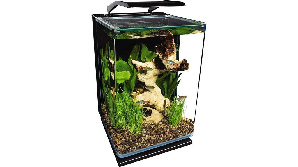 small glass led aquarium
