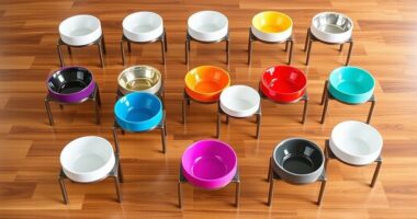 top adjustable pet bowls