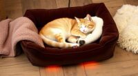 top luxury heated pet beds