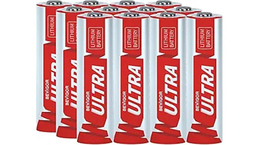 twelve bevigor aa batteries