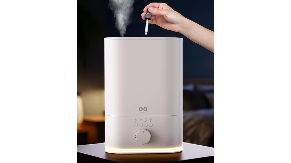 large room 6l humidifier