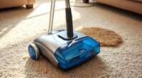 top portable pet carpet cleaners