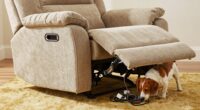 recliner hazards for pets