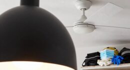clean regularly dust surfaces