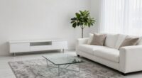 maintain a clean living room