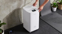 11 Best Dehumidifier for Basement Wellness Room in 2026