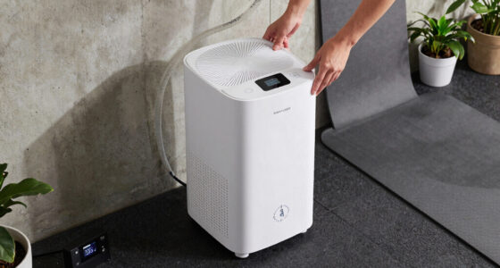 11 Best Dehumidifier for Basement Wellness Room in 2026